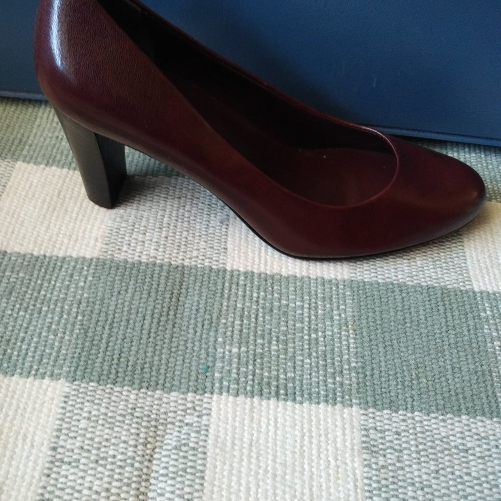 Beautiful Brown - Picture 5 of 6